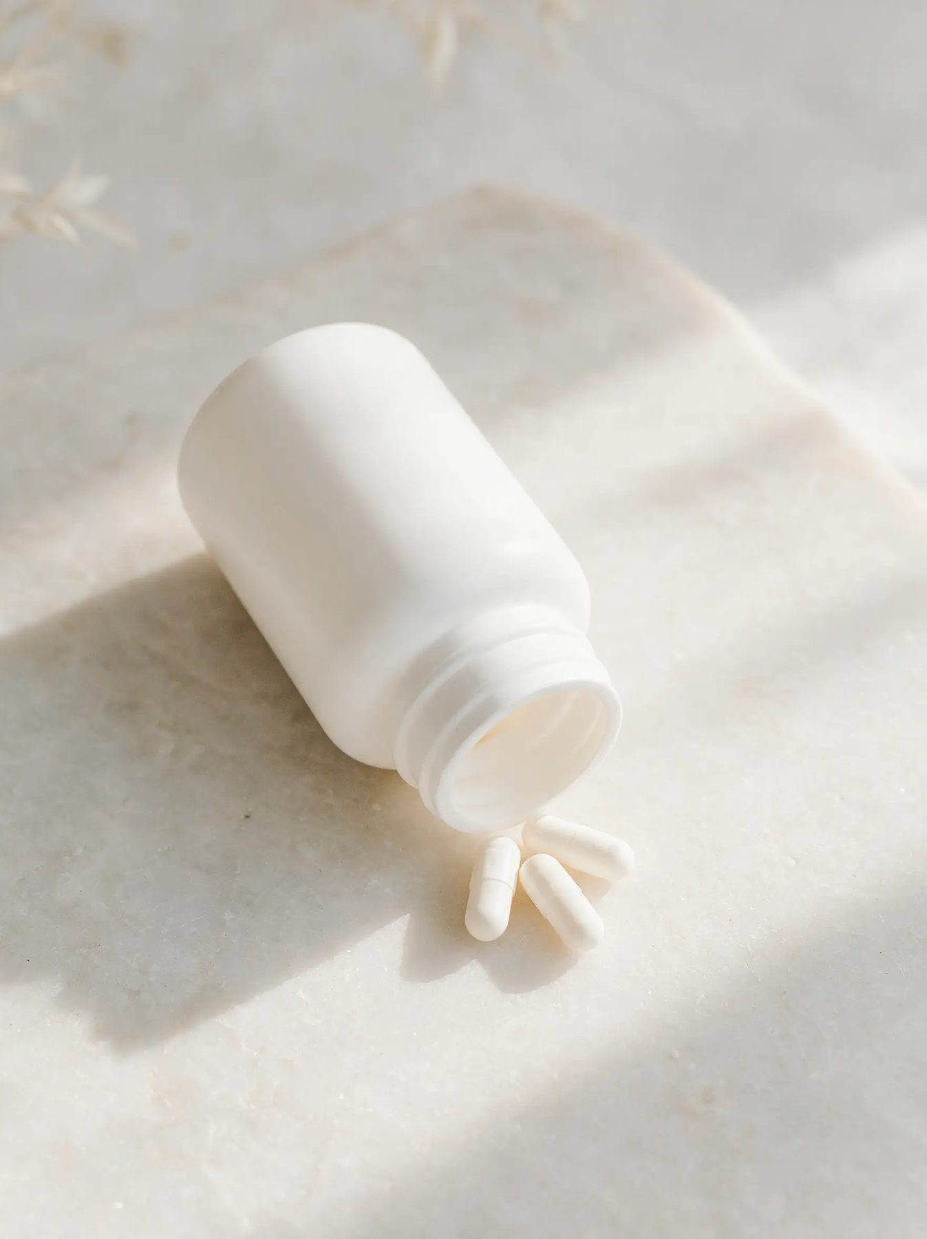 Probiotic Daily